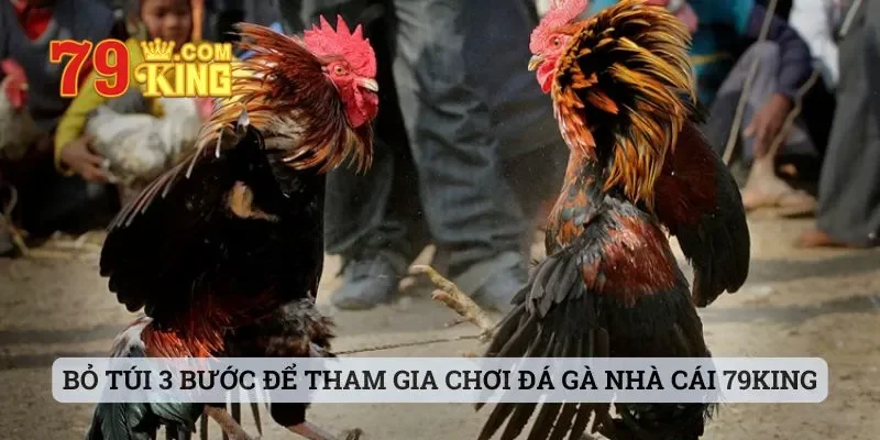 Bỏ túi 3 bước để tham gia chơi đá gà nhà cái 79king